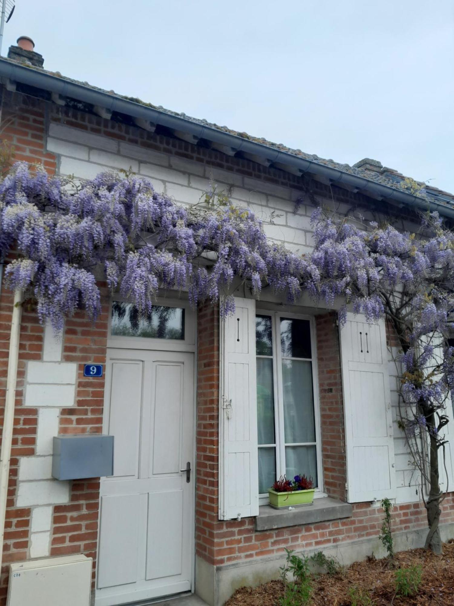Gite, Maison A La Campagne Ardennes, Aisne,Marne Le Thour Стая снимка